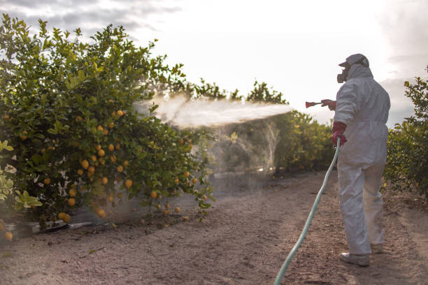 Best Pest Prevention Services  in Kingston Springs, TN