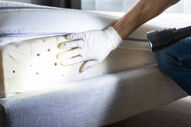 Pest Control for Restaurants in Kingston Springs, TN