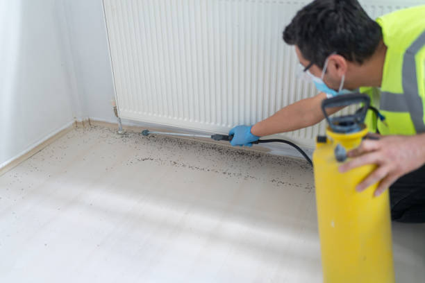 Pest Prevention Services in Kingston Springs, TN